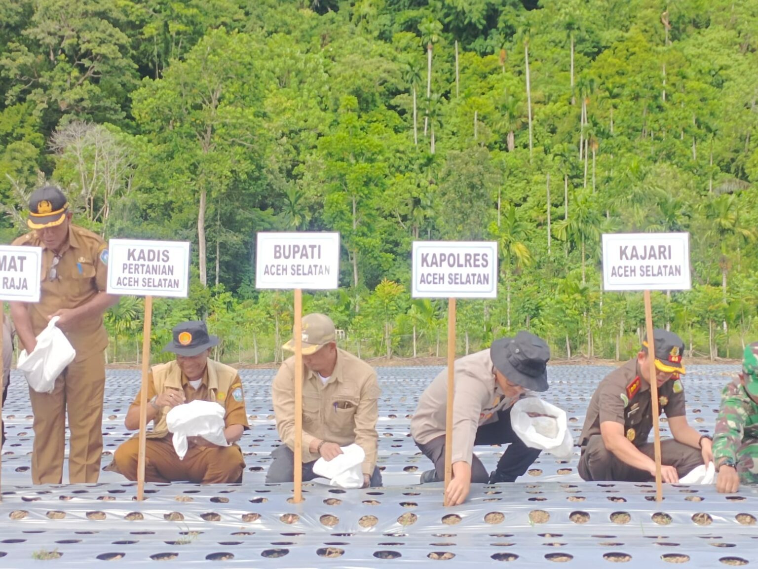 Dinas Pertanian Aceh Selatan Tanam 3 Hektar Bawang Merah, Tekan Inflasi dan Ketahanan Pangan